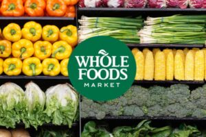 Magic Logix: Leading Digital Marketing & Technology Solutions